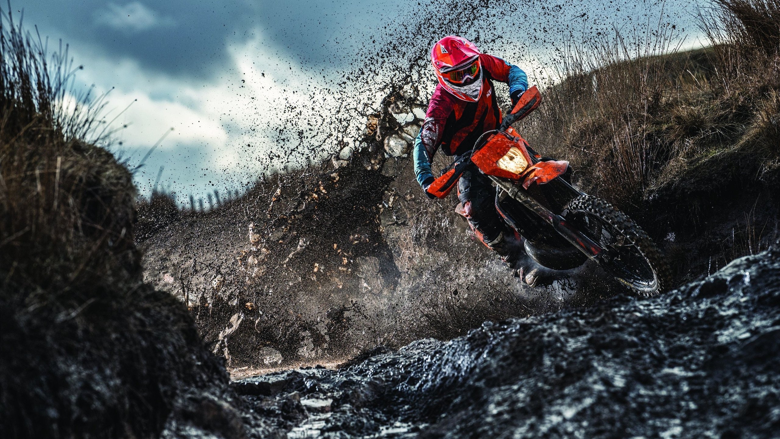 公牛队信心满满，期待季后赛突破，公牛队现状