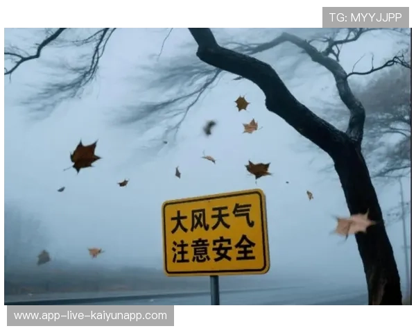 大风天气工人飘荡画面震撼,物业回应安全,大风天气的温馨提示